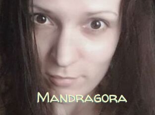Mandragora