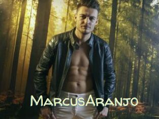 MarcusAranjo