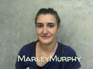 MarleyMurphy Sexy Tchat