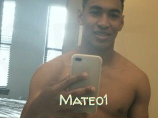 Mateo1