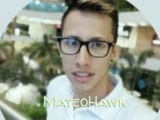 MateoHawk