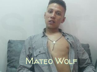Mateo_Wolf