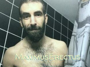 MaximusErectus