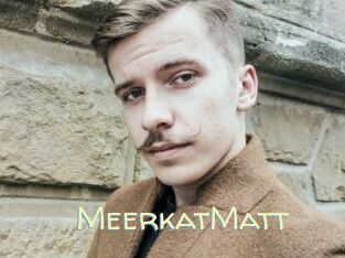 MeerkatMatt