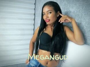 Megangud
