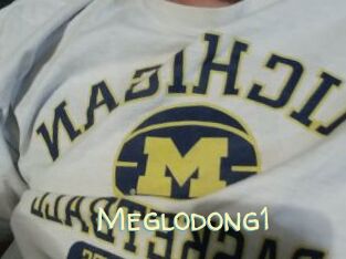 Meglodong1