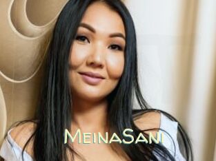 MeinaSani