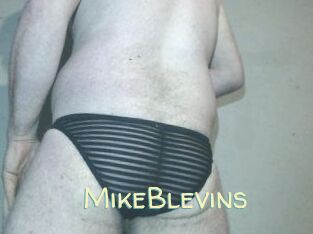 Mike_Blevins