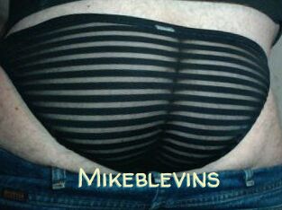 Mikeblevins