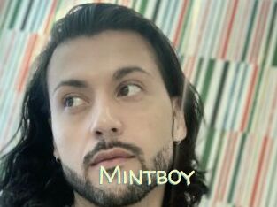 Mintboy