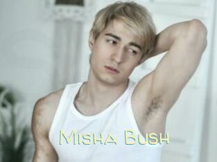 Misha_Bush