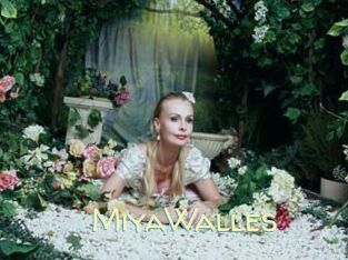 MiyaWalles