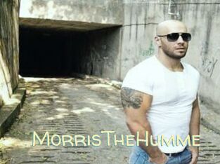 MorrisTheHumme