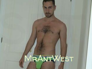MrAntWest