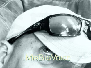 MrBigVoice