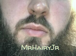 MrHairyJr