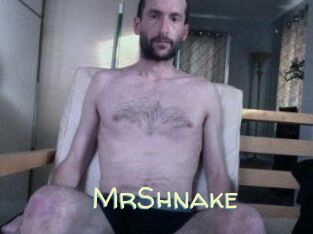 MrShnake
