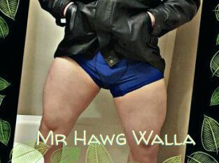Mr_Hawg_Walla