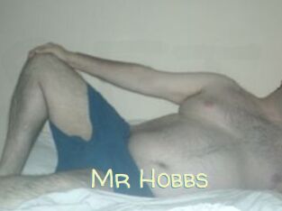 Mr_Hobbs