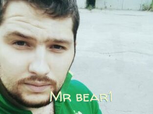 Mr_bear1