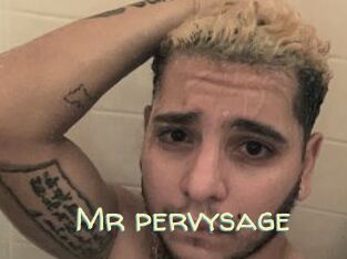 Mr_pervysage Sexy Tchat