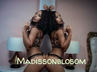 madissonblosom Sexy Tchat
