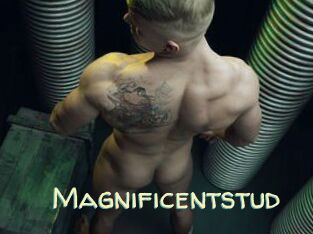 Magnificentstud