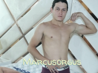 Marcusorgus