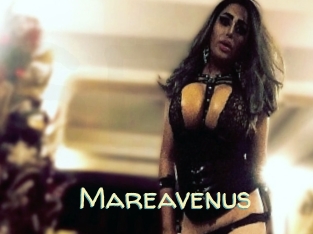 Mareavenus