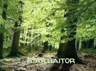 Martiaitor