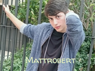 Mattrobert