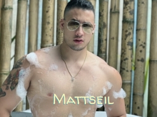 Mattseil