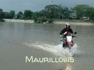 Maurillobig