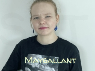 Maygallant