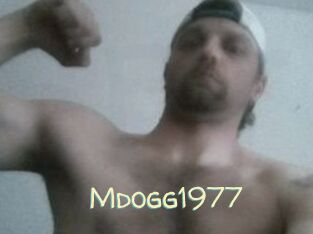 Mdogg1977
