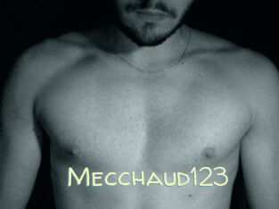 Mecchaud123