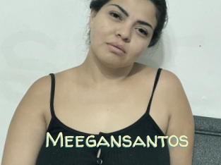 Meegansantos