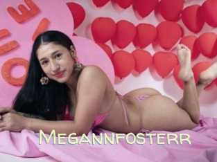Megannfosterr