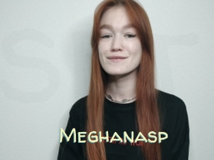 Meghanasp