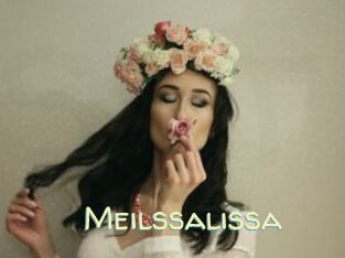 Meilssalissa