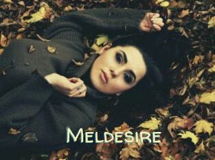 Meldesire