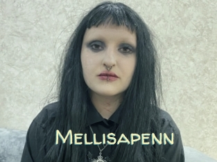 Mellisapenn