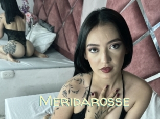 Meridarosse