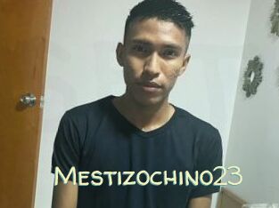 Mestizochino23