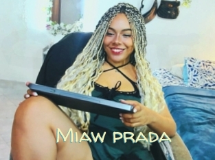 Miaw_prada