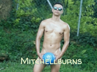Mitchellburns