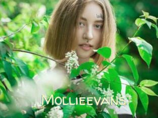 Mollieevans
