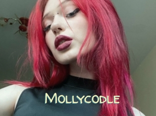 Mollycodle