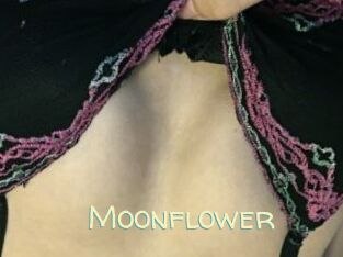 Moonflower