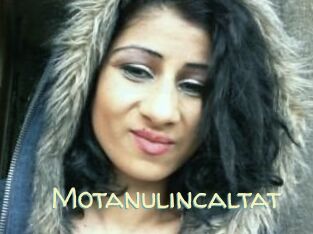 motanulincaltat Sexy Tchat